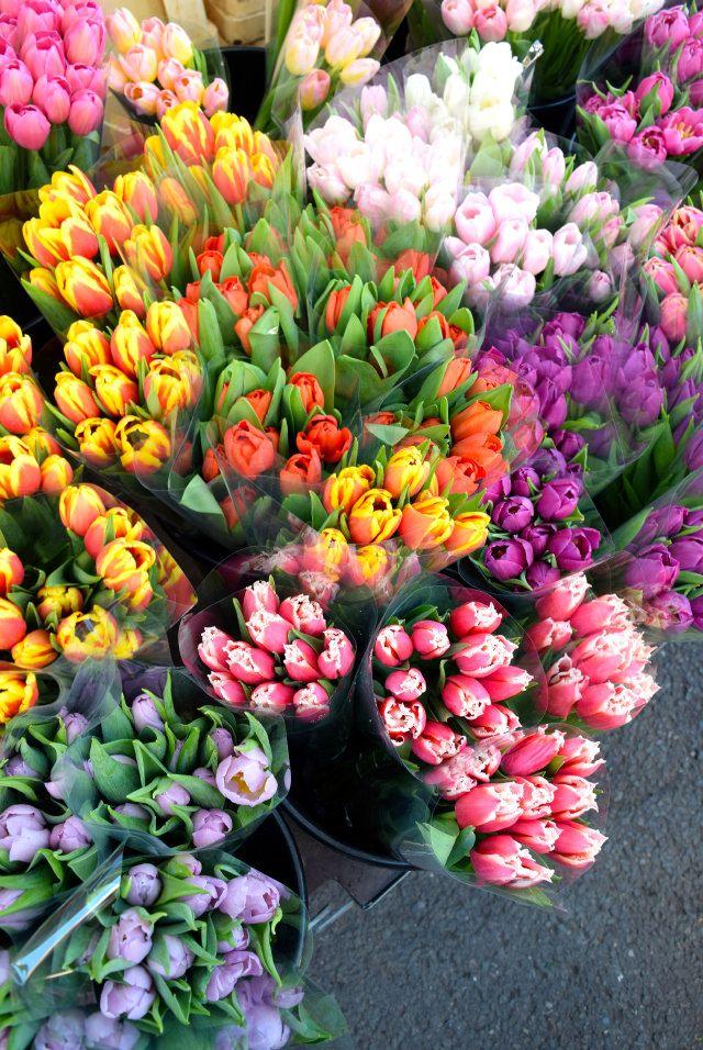 Whispers of Dawn Pastel Posy