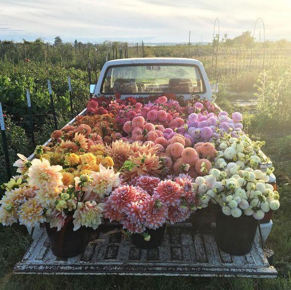 Enchanted Evening Floral Symphony